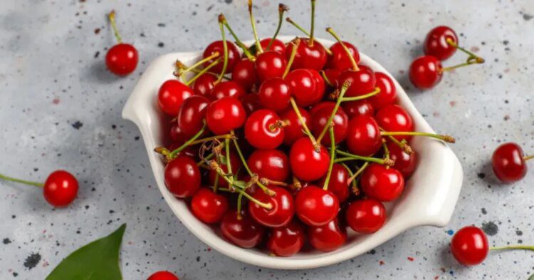 Cherry में छिपे हैं कई गुण, वजन घटाने से लेकर हार्ट को रखे हेल्दी, आज की डाइट में करें शामिल