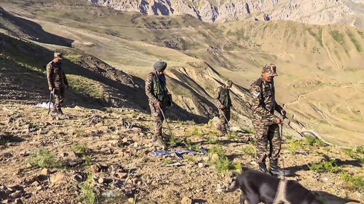 ऑपरेशन सर्प