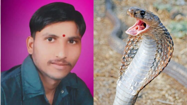 बर्थडे बना ‘अंतिम दिन’… फोटो खिंचाने के लिए दोस्तों ने युवक को पकड़ाया सांप, डसने से मौत