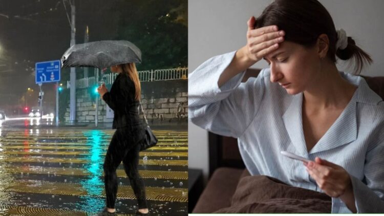 बारिश में डेंगू ही नहीं ये बीमारियां भी तेजी से फैलती हैं…डॉक्टर से जानें बचाव के बेहतरीन उपाय?