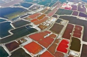 बहुरंगी नज़ारा