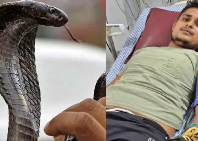 सपने में बोला सांप नौवीं बार डसूंगा तो जाएगी जान…युवक को अब तक…
