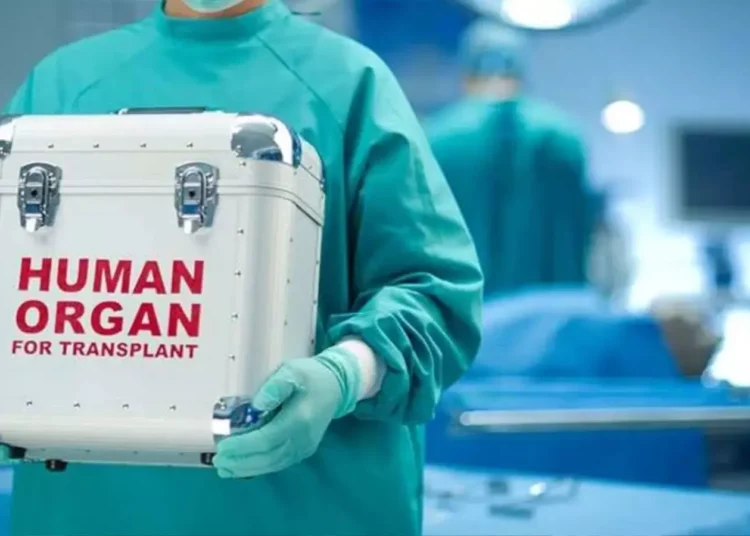 अंगदान में भी भेदभाव, गुजरात में लड़कियों की जगह लड़कों को तरजीह