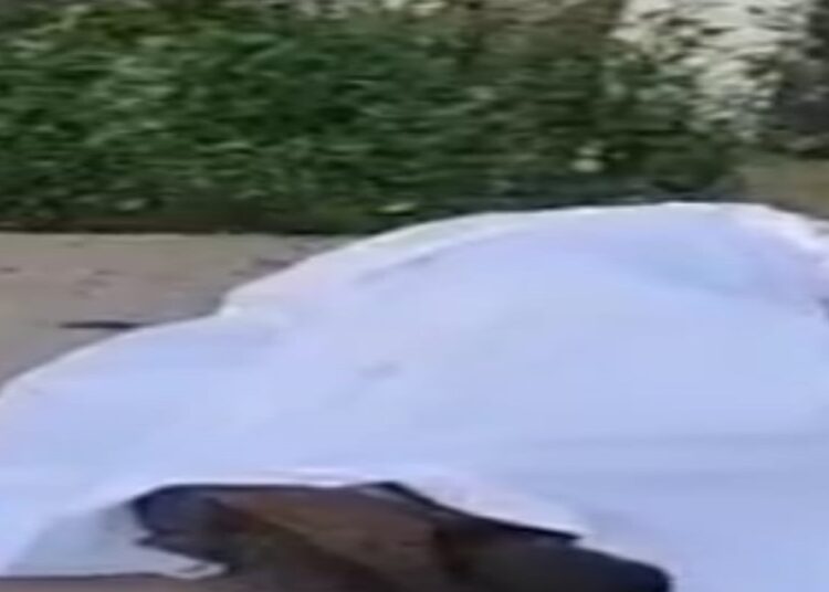 रोहतक में सड़क पर पड़ा मिला युवक का शव, हाथ–पैर बांध कर किया वार