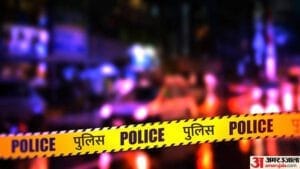 पालतू कुत्ता