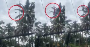 पक्षी ने पहराया तिरंगा, जानें क्या है इस वायरल वीडियो का सच