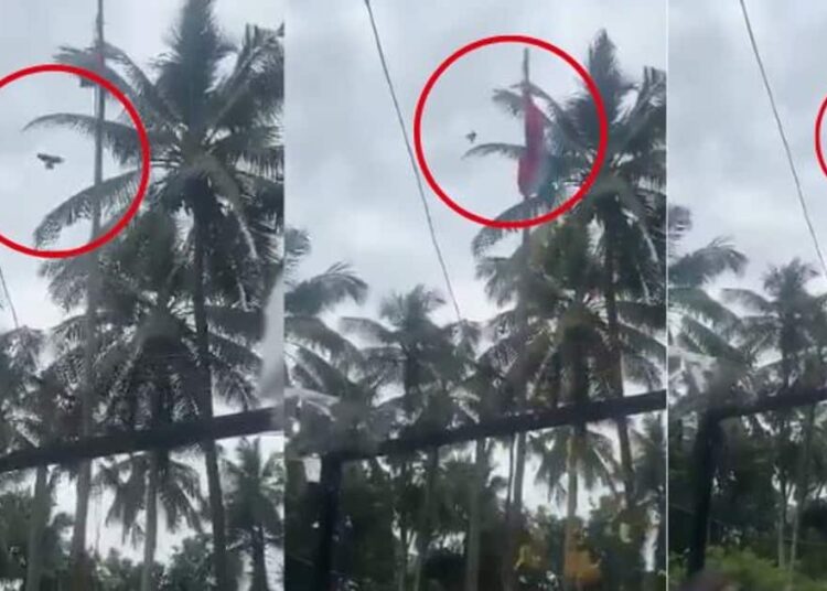 पक्षी ने पहराया तिरंगा, जानें क्या है इस वायरल वीडियो का सच