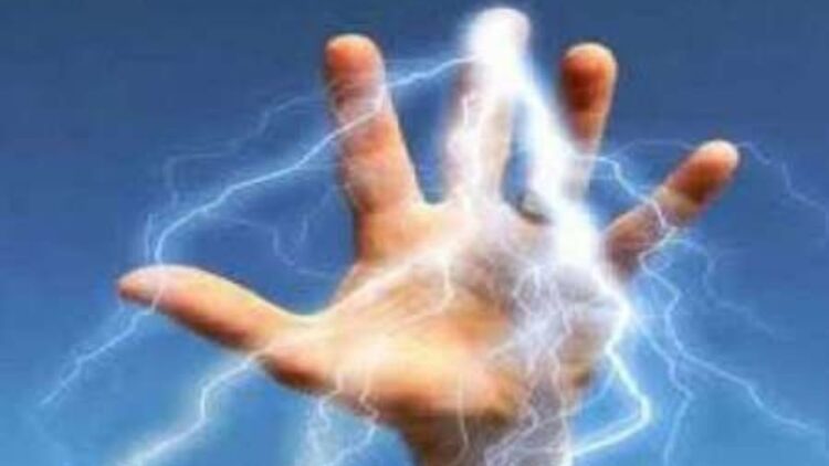 रुपयों से भरा टिफिन लेकर भागा बंदर, महिला उसके पीछे दौड़ी, फिर हुआ कुछ ऐसा कि…