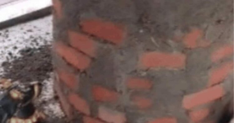 शिवलिंग के साथ महिलाओं ने रातों-रात कर दिया कांड, वजह जान चौंक गए लोग