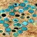 अब भारत में होगी Monkey Pox की जांच