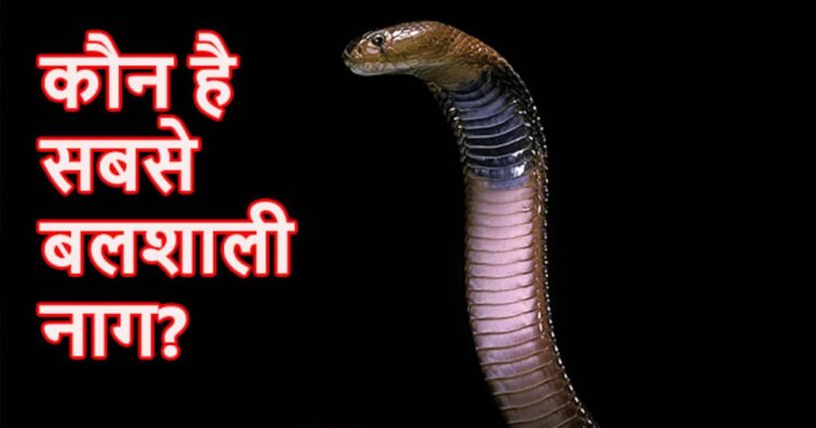 नागपंचमी