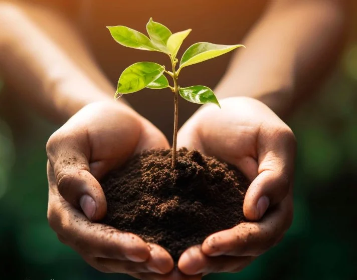 सावन के महीने में घर पर लगाएं ये पौधे, बरसेगी शिव कृपा, जीवन में आ जाएगी खुशहाली 1 सावन के महीने में घर पर लगाएं ये पौधे, बरसेगी शिव कृपा, जीवन में आ जाएगी खुशहाली