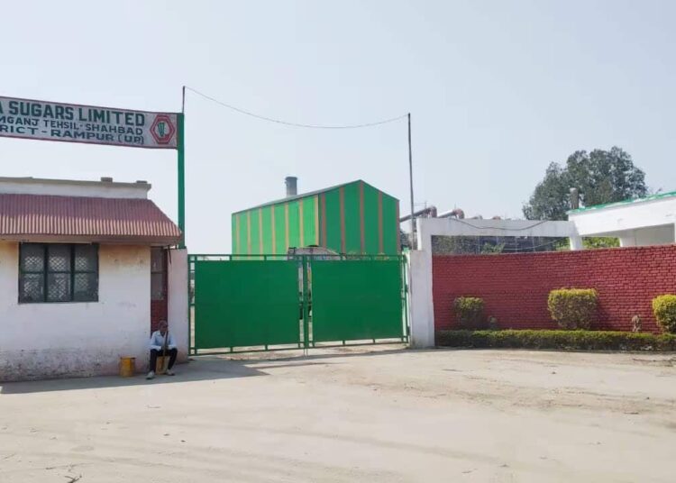 इस शुगर कंपनी के शेयरों में हड़कंप