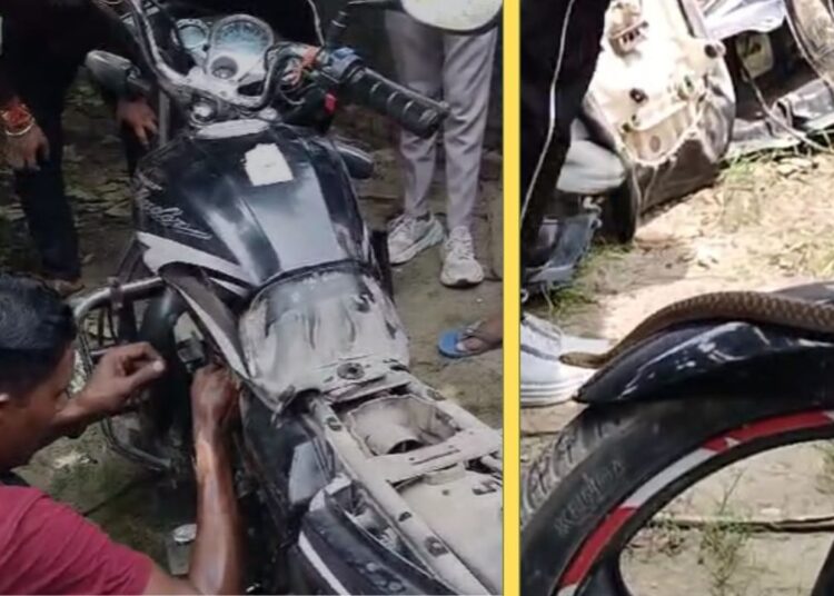 डीएम ऑफिस के बाहर बाइक में घुसा सांप, देखते ही चिल्ला उठे लोग