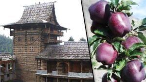 यहां जमीन के मालिक हैं अलग अलग देवता, लीज पर देते हैं खेत, करते हैं लाखों की कमाई