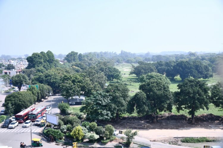 भगवंत मान