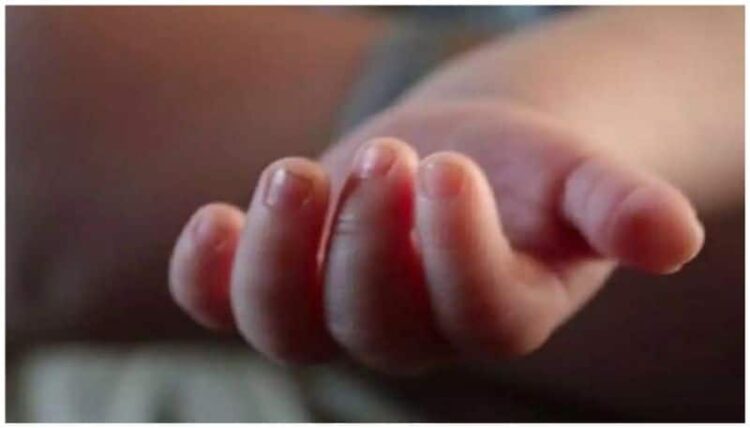 बिल्ली का पीछा, मक्के का खेत और ड्रोन से रेस्क्यू: जानें क्या है पूरा मामला