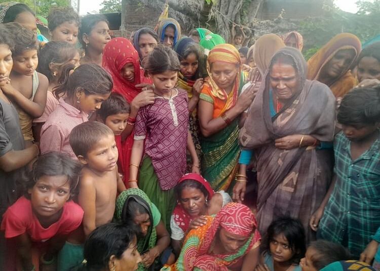 आदमखोर भेड़िये ने फिर बनाया निशाना