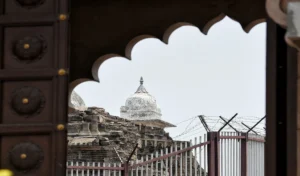 शेयर बाजार