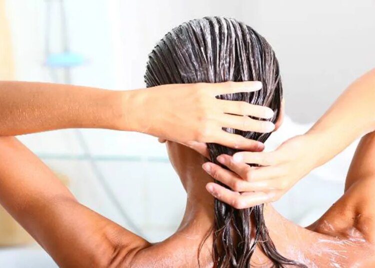 आप भी झड़ते बालों से हो गए हैं परेशान? ट्राई करें ये पांच हेयर मास्क,
