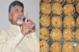 तृप्ति डिमरी