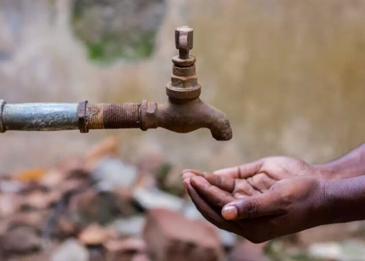 Report: जल संकट के कारण खतरे में है वैश्विक खाद्य उत्पादन का आधा हिस्सा