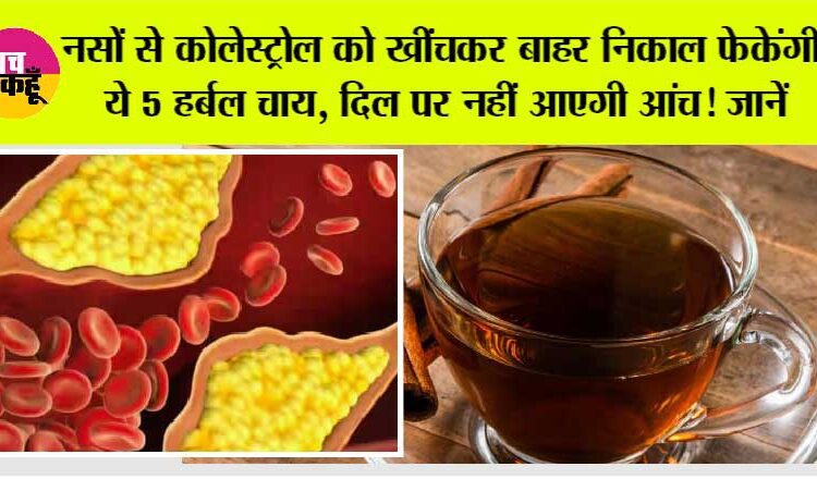 नस-नस में जमे कोलेस्ट्रॉल को बाहर खींच लाएंगी ये 5 हर्बल चाय