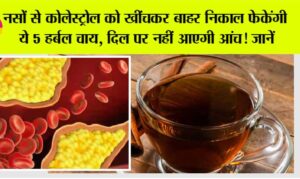 नस-नस में जमे कोलेस्ट्रॉल को बाहर खींच लाएंगी ये 5 हर्बल चाय