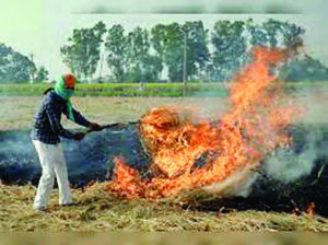 महिला टी-20