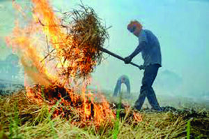 चाइल्ड