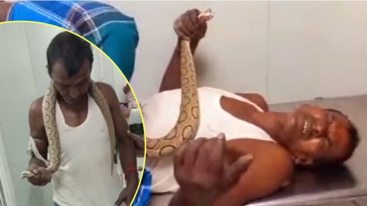 दुनियां के 5वें सबसे खतरनाक सांप ने काटा, फन पकड़कर अस्पताल पहुंचा शख्स 1 दुनियां के 5वें सबसे खतरनाक सांप ने काटा, फन पकड़कर अस्पताल पहुंचा शख्स