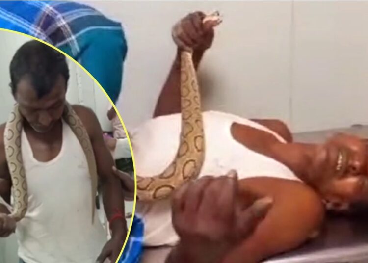 दुनियां के 5वें सबसे खतरनाक सांप ने काटा, फन पकड़कर अस्पताल पहुंचा शख्स