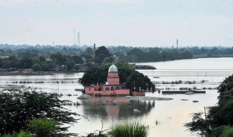 बाढ़ से बिहार का बुरा हाल, बर्बाद और बेहाल! दरभंगा से सहरसा तक नए इलाकों में फैला कोसी-गंडक का पानी 1 बाढ़ से बिहार का बुरा हाल, बर्बाद और बेहाल! दरभंगा से सहरसा तक नए इलाकों में फैला कोसी-गंडक का पानी