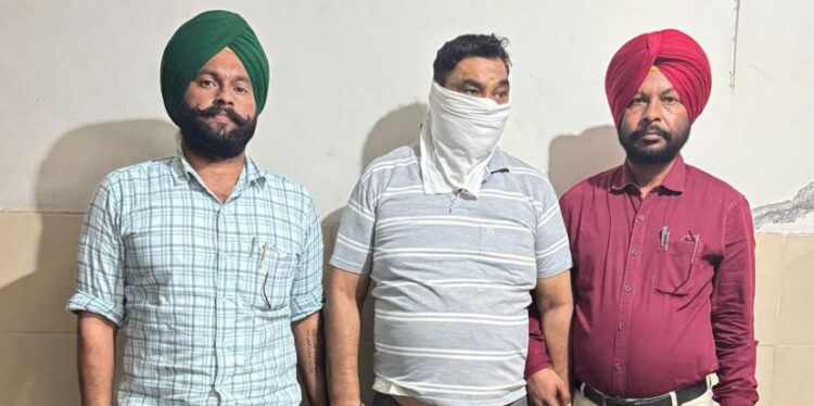 विजीलैंस