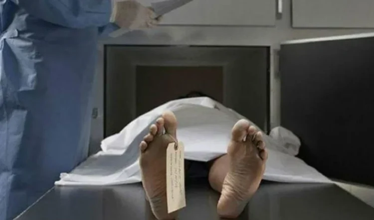 राजस्थान के करौली में नायब तहसीलदार का शव पेड़ से लटका मिला 1 राजस्थान के करौली में नायब तहसीलदार का शव पेड़ से लटका मिला