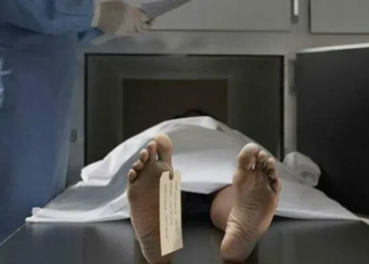 राजस्थान के करौली में नायब तहसीलदार का शव पेड़ से लटका मिला