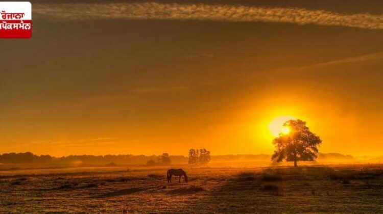 कभी गर्मी तो कभी ठंड, पंजाब का तापमान सामान्य से अधिक, AQI 300 के पार