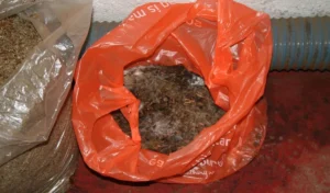उमर अब्दुल्ला
