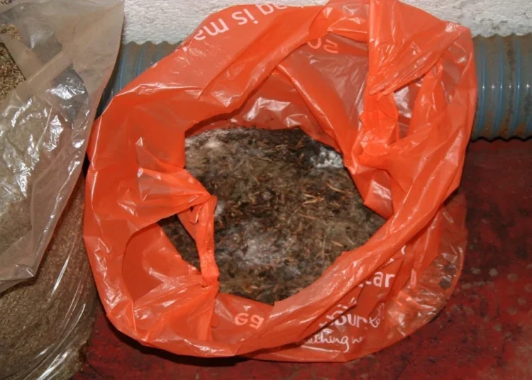 पुलिस ने 5.32 लाख रुपये मूल्य का प्रतिबंधित गुटखा और तंबाकू उत्पाद किया जब्त