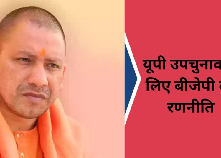 लोकसभा नतीजों से लिया सबक, अब उपचुनाव के लिए BJP ने बनाई खास रणनीति