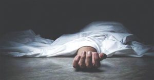 बिजली