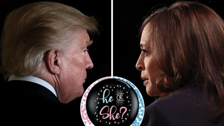 US Election 2024 Memes: ‘US का जेंडर रिवील आज’, अमेरिकी बोले- ‘काश लड़की हो’,