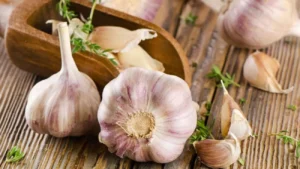 Garlic