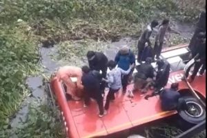 bus accident in punjab