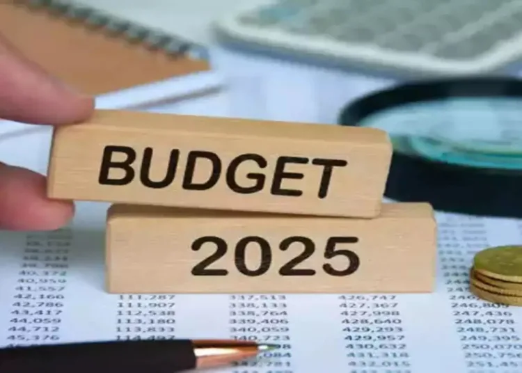 Budget 2025