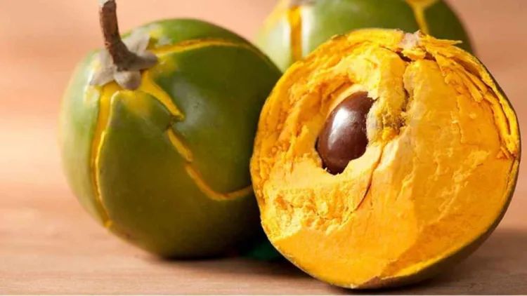 Lucuma Powder Benefits, Diabetes Friendly Sweetener, Lucuma Fruit Health Benefits, Glycemic Index of Lucuma, Natural Sweeteners for Diabetes, Lucuma Powder Uses, Healthy Sugar Alternatives, Anti-oxidants in Lucuma Powder, Weight Loss Sweetener, Lucuma Powder Online, Lucuma Powder for Skin, Lucuma Powder Recipes।