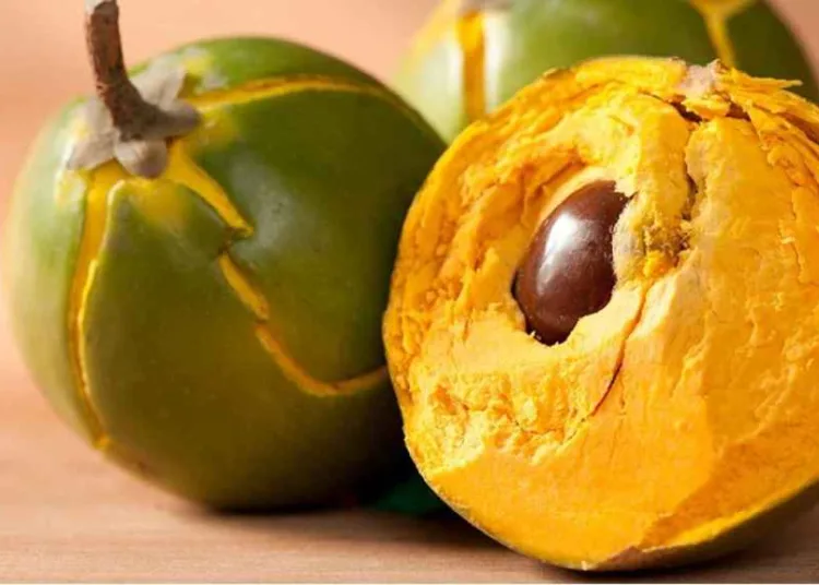 Lucuma Powder Benefits, Diabetes Friendly Sweetener, Lucuma Fruit Health Benefits, Glycemic Index of Lucuma, Natural Sweeteners for Diabetes, Lucuma Powder Uses, Healthy Sugar Alternatives, Anti-oxidants in Lucuma Powder, Weight Loss Sweetener, Lucuma Powder Online, Lucuma Powder for Skin, Lucuma Powder Recipes।