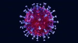 Human Metapneumovirus (HMPV)