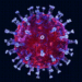 Human Metapneumovirus (HMPV)