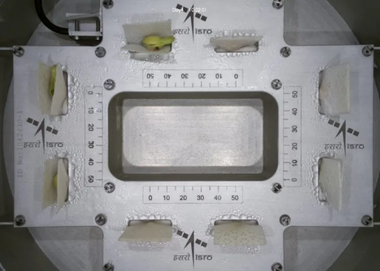 What kind of plants is ISRO trying to grow in space Know why it is needed